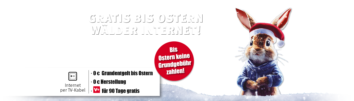 2312_wald_400 Wälder Internet