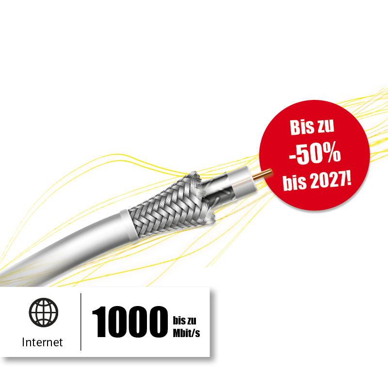 Kabel Internet